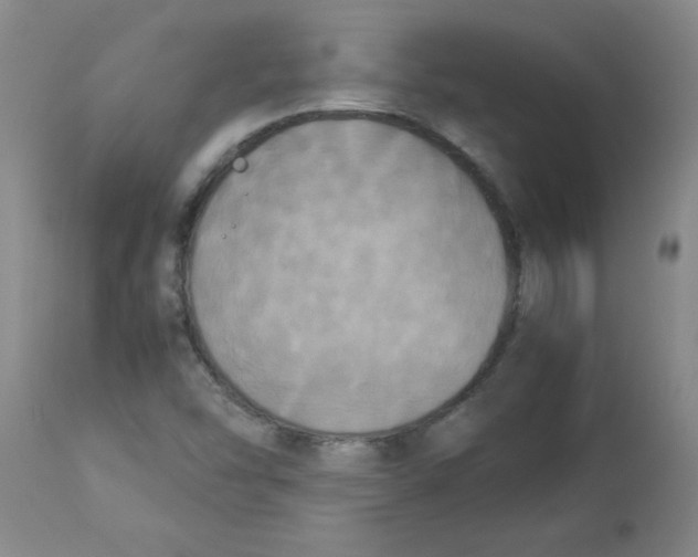 X0000112851454200909181725