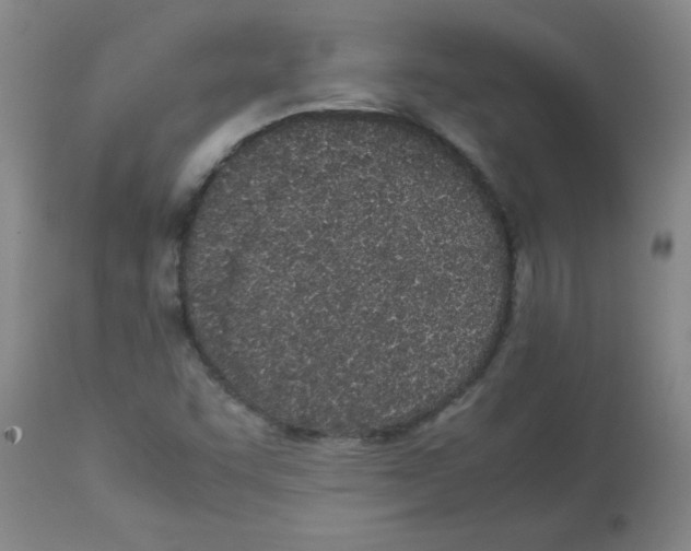 X0000112851455200909181724