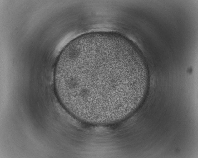 X0000112851459200909181724