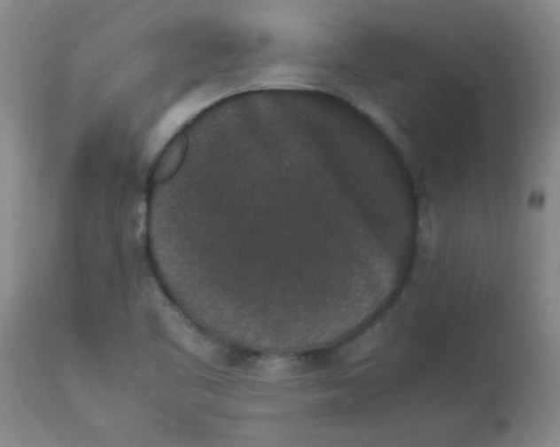 X0000112851461200909181724