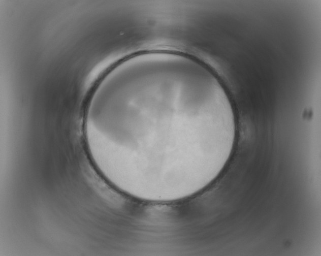 X0000112851462200909181724