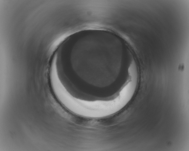 X0000112851463200909181724