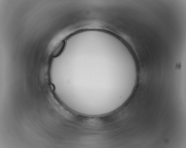 X0000112851464200909181724