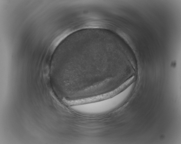 X0000112851465200909181724