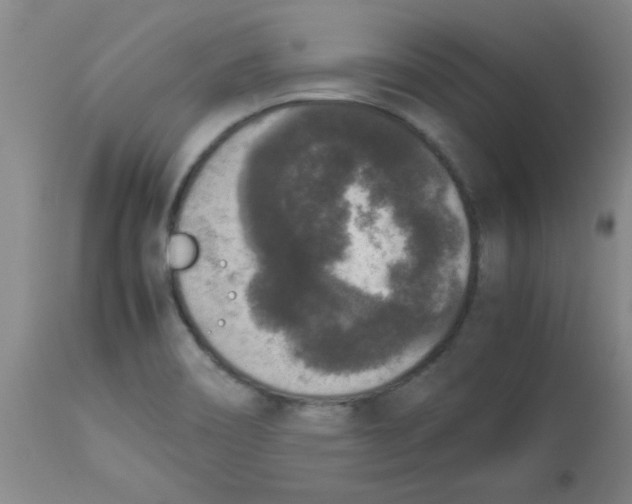 X0000112851466200909181724