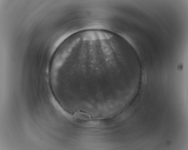 X0000112851468200909181724