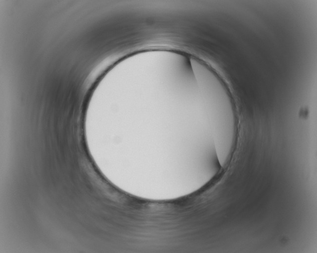 X0000112851469200909181724