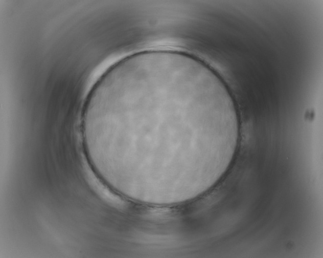 X0000112851470200909181724