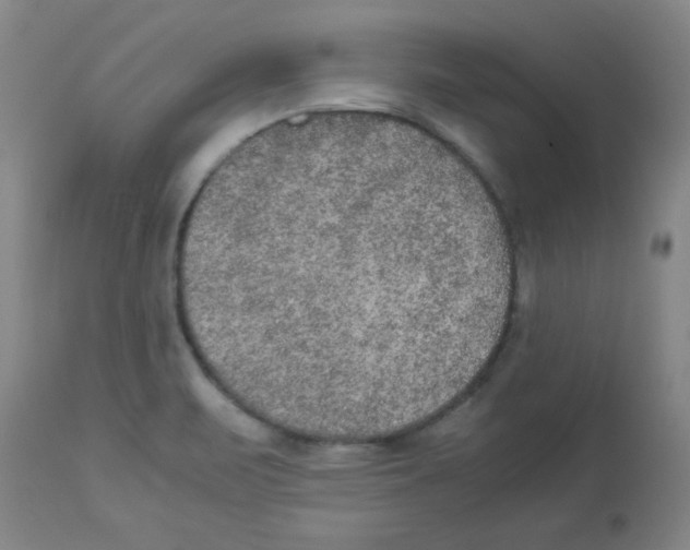 X0000112851471200909181724