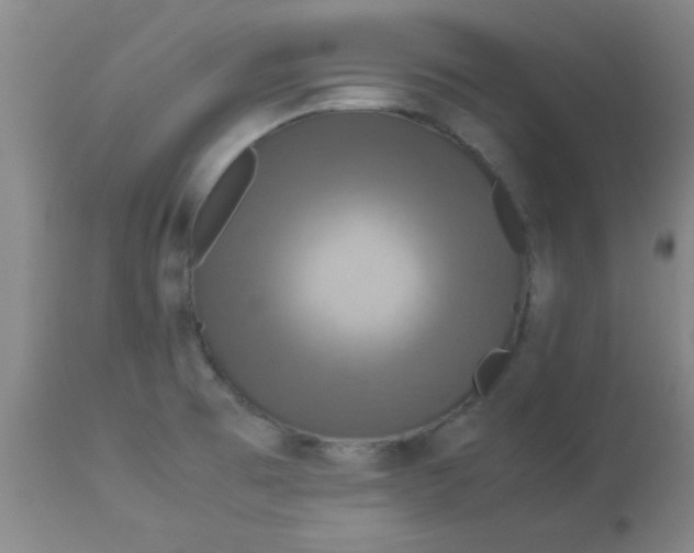 X0000112851473200909181724