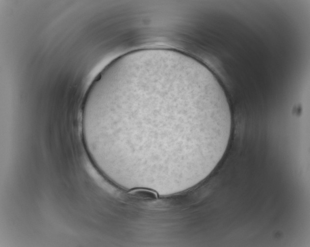 X0000112851476200909181724