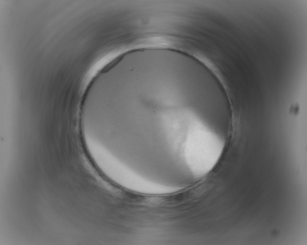 X0000112851477200909181724