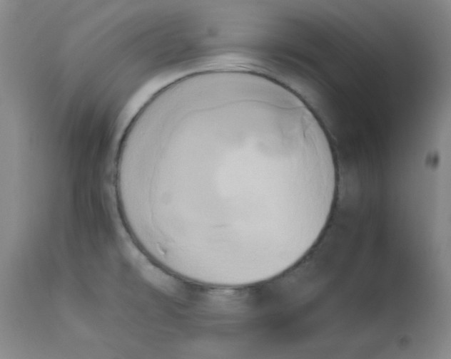 X0000112851478200909181724