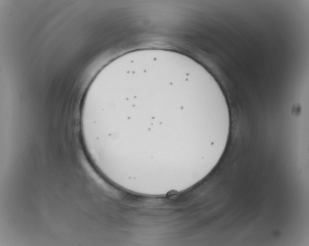 X0000112851479200909181724