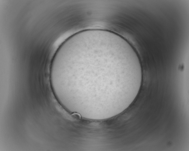 X0000112851480200909181724