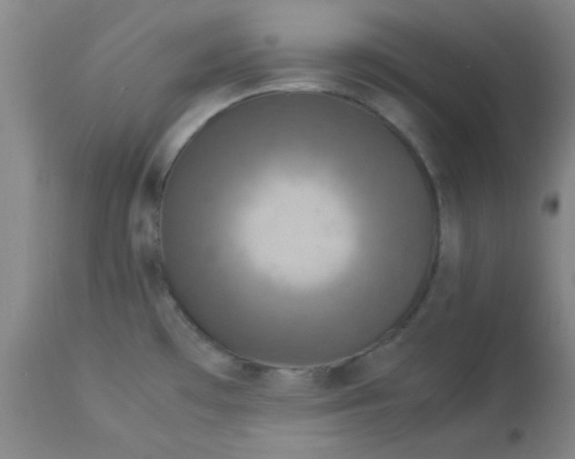 X0000112851481200909181724