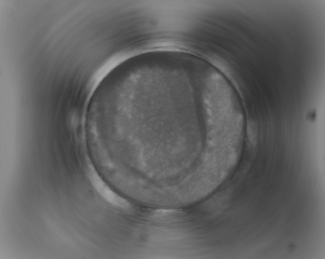 X0000112851482200909181724