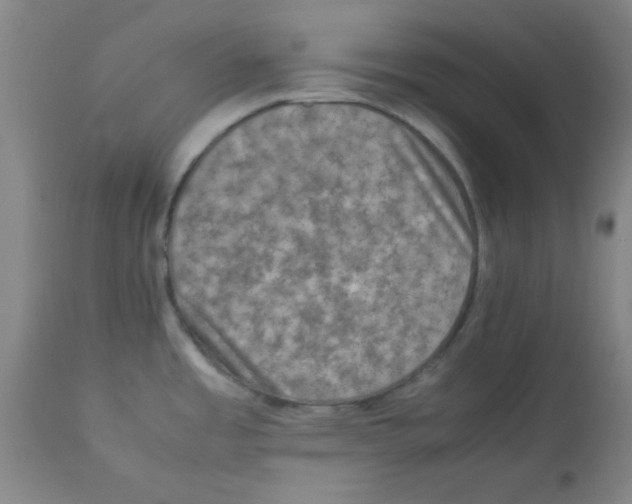 X0000112851485200909181724