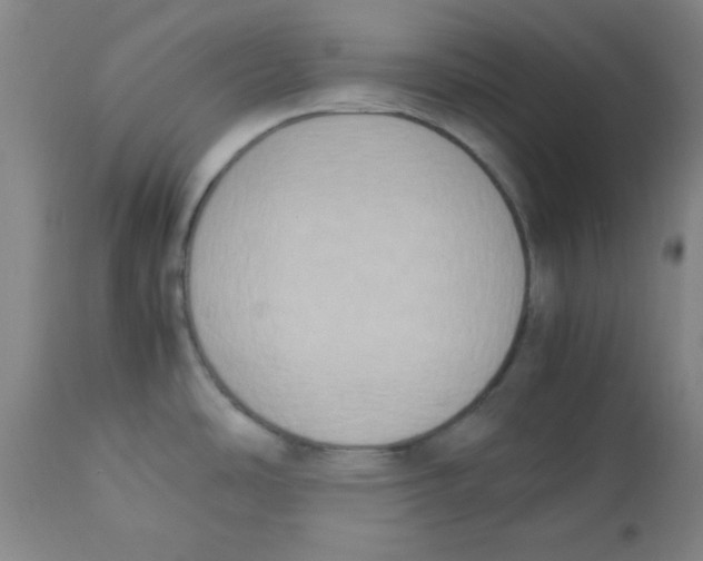 X0000112851486200909181724