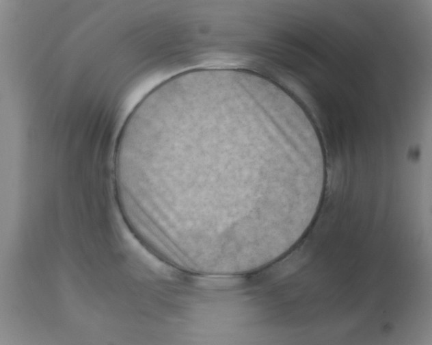 X0000112851487200909181724