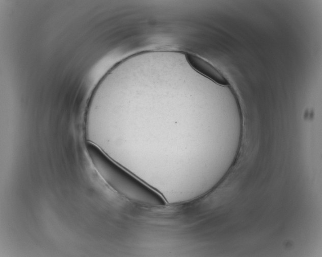 X0000112851488200909181724