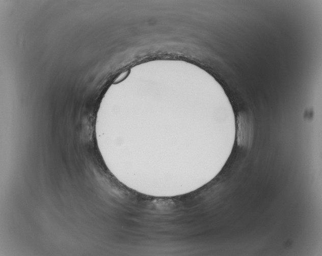 X0000112851491200909181723