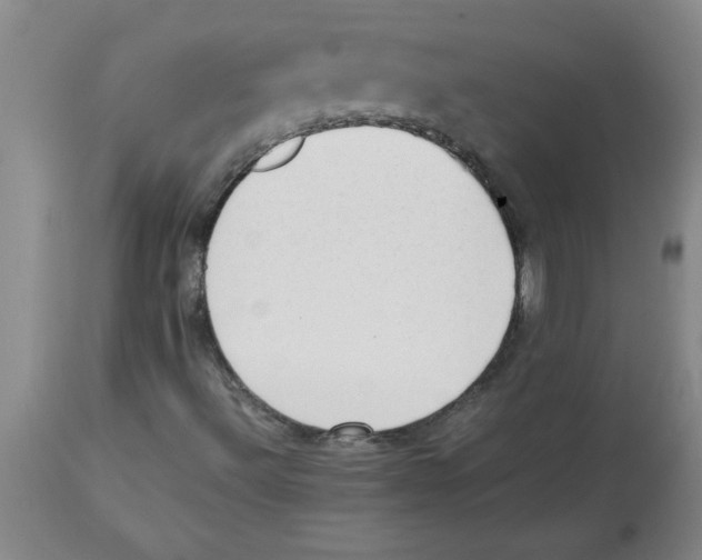 X0000112851492200909181723