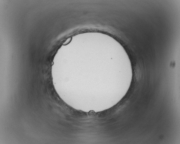 X0000112851494200909181723