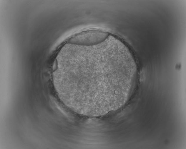 X0000112851496200909181723