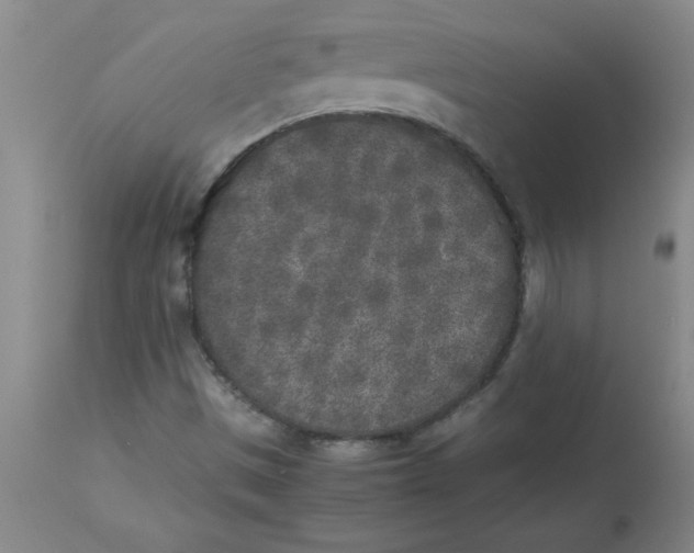 X0000112851497200909181724