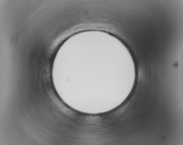 X0000112851498200909181724