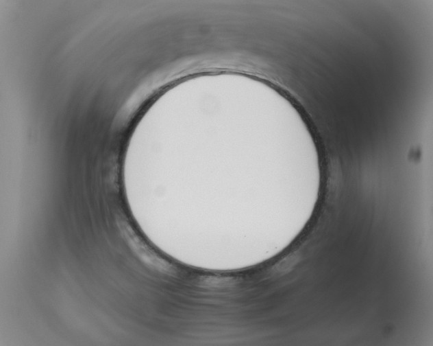 X0000112851499200909181724