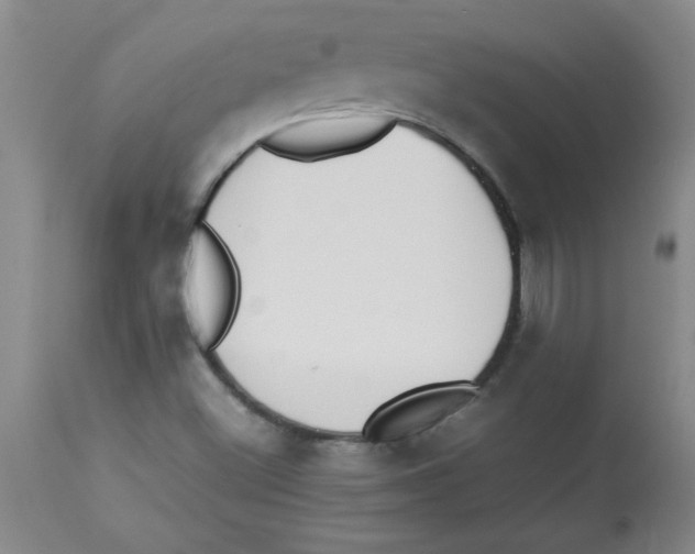 X0000112851500200909181724