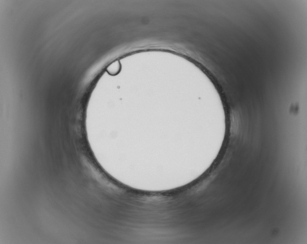 X0000112851502200909181724