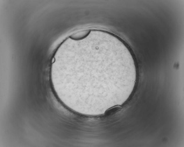 X0000112851504200909181724