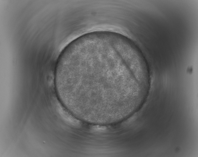 X0000112851505200909181724