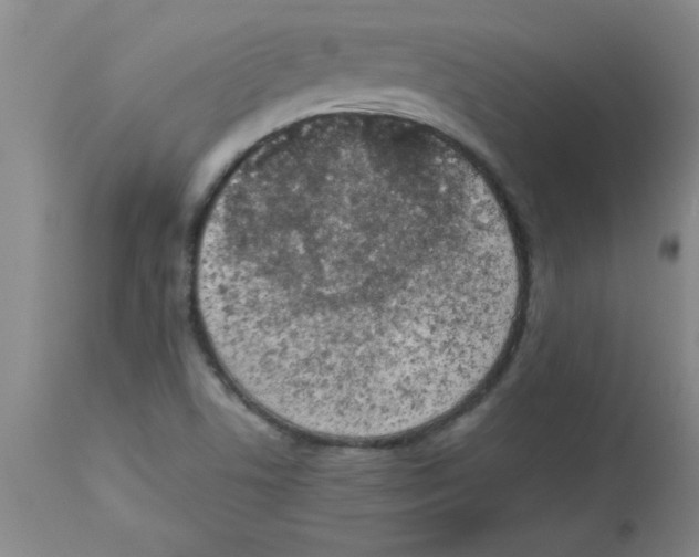 X0000112851506200909181724