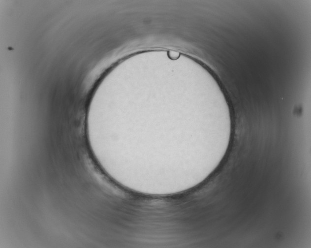 X0000112851507200909181724