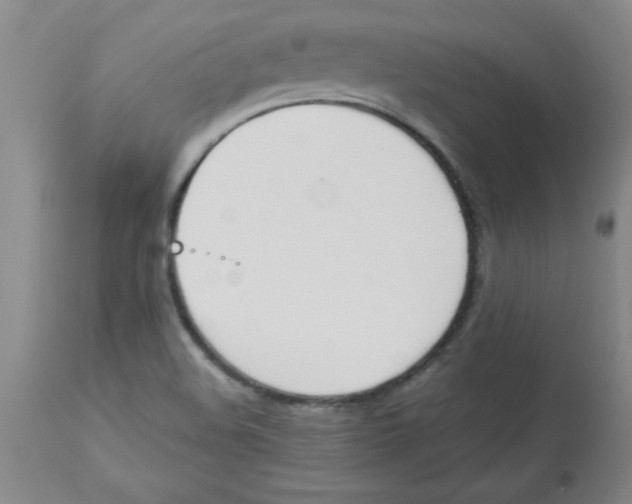 X0000112851508200909181724