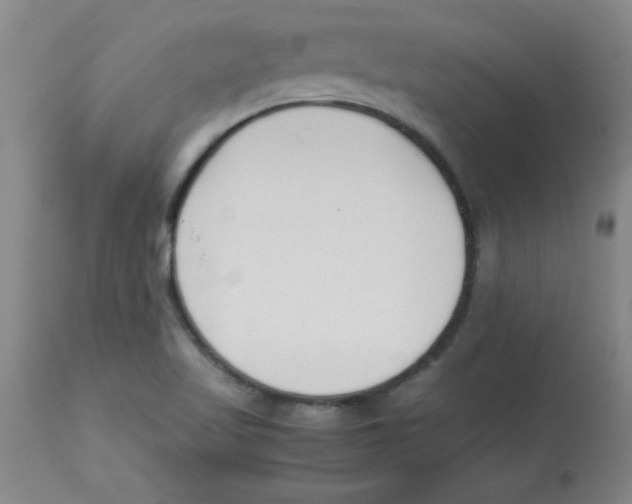 X0000112851509200909181724