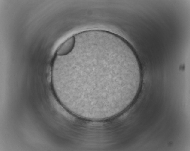 X0000112851510200909181724