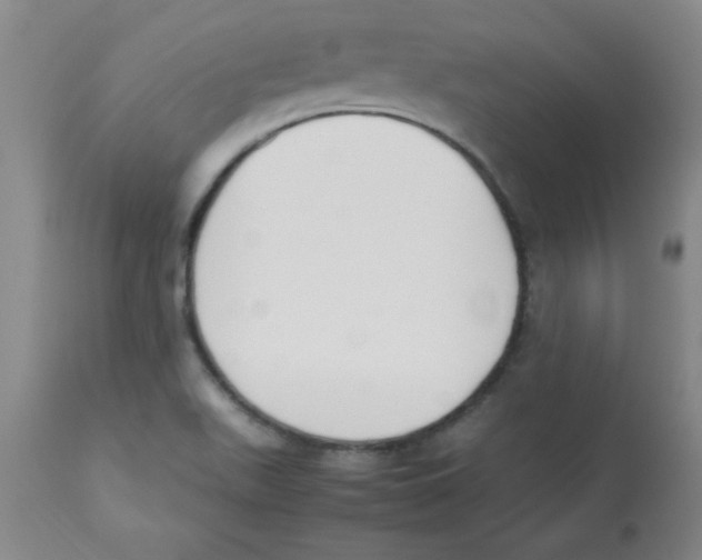 X0000112851511200909181724