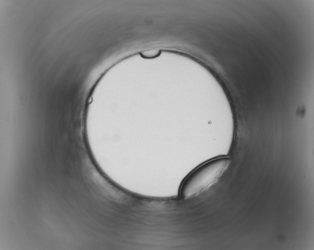 X0000112851512200909181724