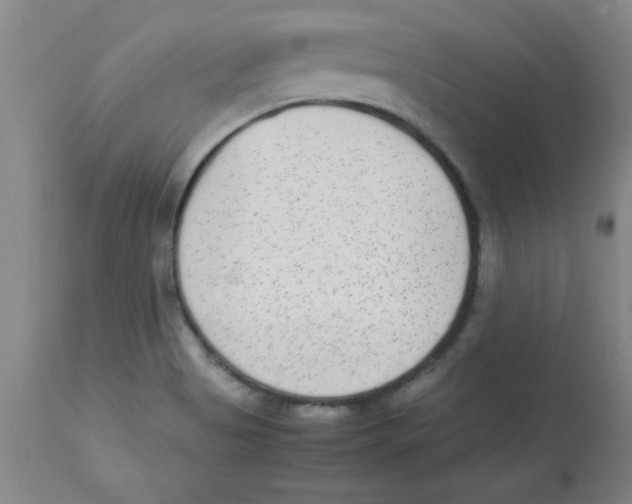 X0000112851513200909181724