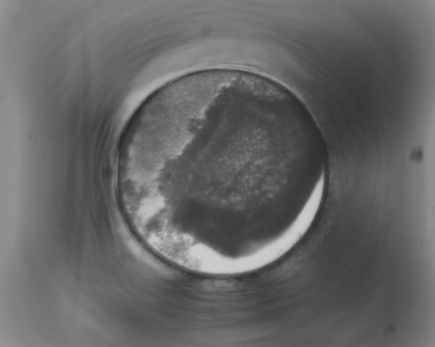 X0000112851515200909181724