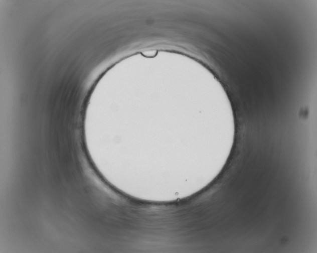 X0000112851518200909181724