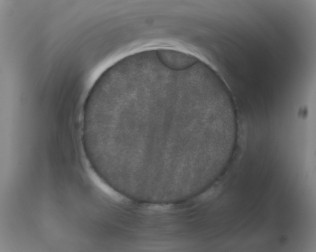 X0000112851519200909181724