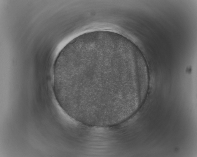 X0000112851520200909181724