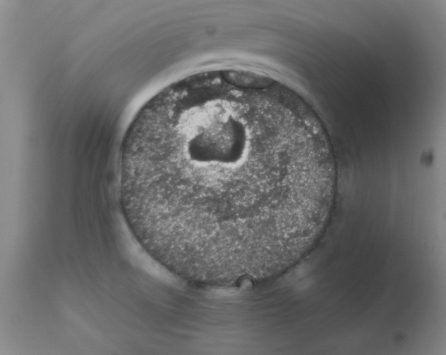 X0000112851522200909181724