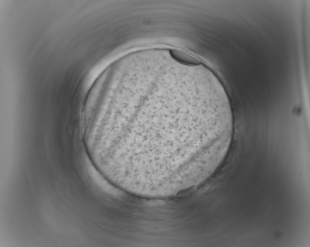 X0000112851524200909181724